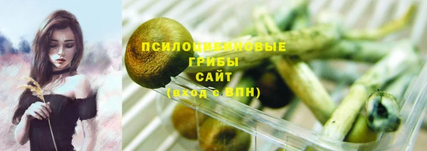 spice Абинск