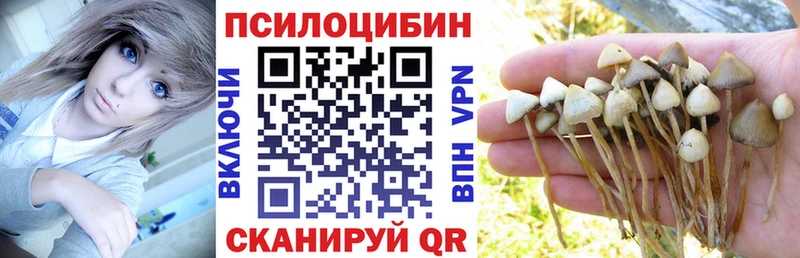 Псилоцибиновые грибы Magic Shrooms  Россошь 